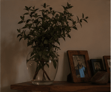 A weathered wooden surface with a small vase and dark picture frames.